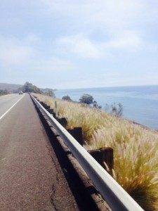 Hit the coast post Lompoc on our way to Santa Barbara